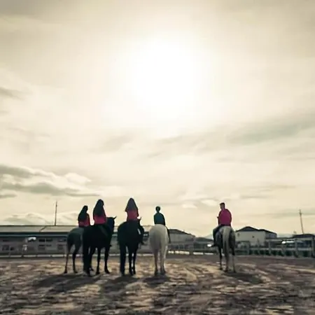 ホテル House Of Horses Shtepia E Kuajve