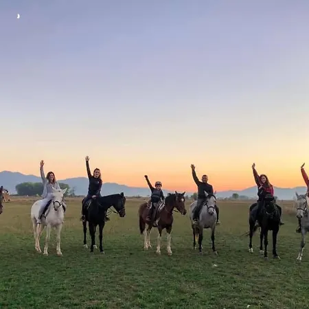 House Of Horses Shtepia E Kuajve מלון 3*