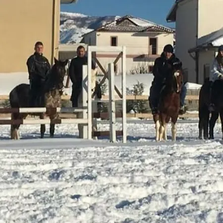 ホテル House Of Horses Shtepia E Kuajve