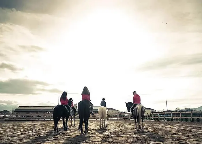 酒店 House Of Horses Shtepia E Kuajve