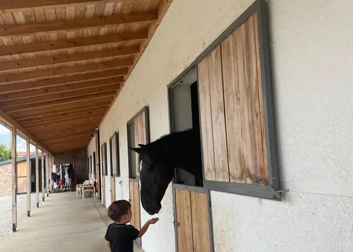 House Of Horses Shtepia E Kuajve Hotell 3*