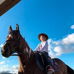 Hotel House Of Horses Shtepia E Kuajve 3*