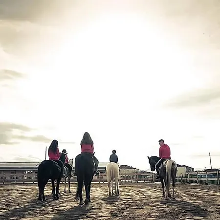 מלון House Of Horses Shtepia E Kuajve