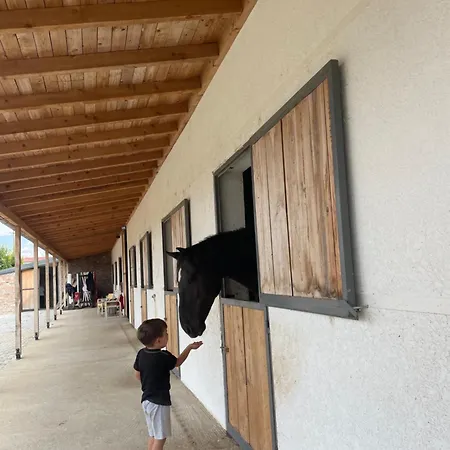 House Of Horses Shtepia E Kuajve Hotel 3*