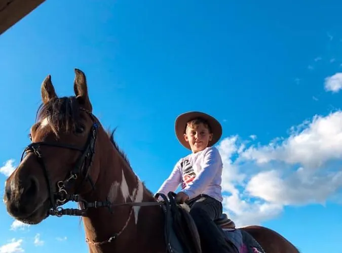 Hotel House Of Horses Shtepia E Kuajve 3*
